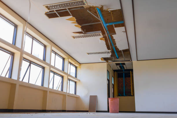 Best Flooded house restoration  in Siena College, NY