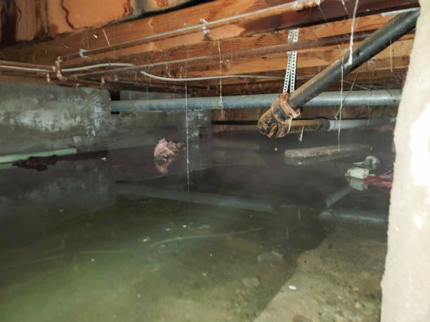 Best Emergency water damage restoration  in Siena College, NY