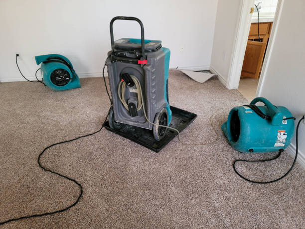 Carpet water damage restoration in Siena College, NY