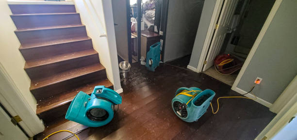 Best Fire Damage Restoration  in Siena College, NY