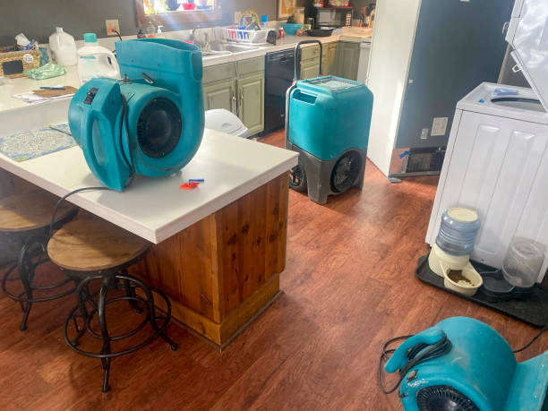 Best Water damage restoration near me  in Siena College, NY