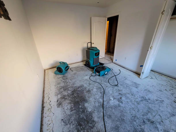 Best Flooded house restoration  in Siena College, NY