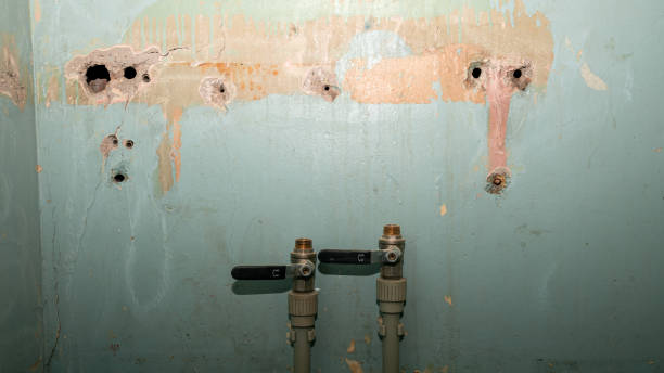Water damage restoration insurance claims in Siena College, NY