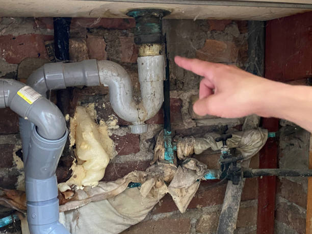 Best Local water damage restoration  in Siena College, NY