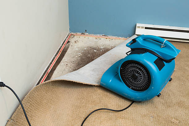 Best Water damage cleanup near me  in Siena College, NY